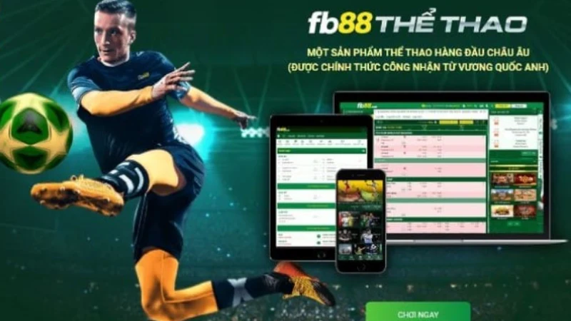 Sân chơi poker đánh giá tích cực từ người chơi - FB88