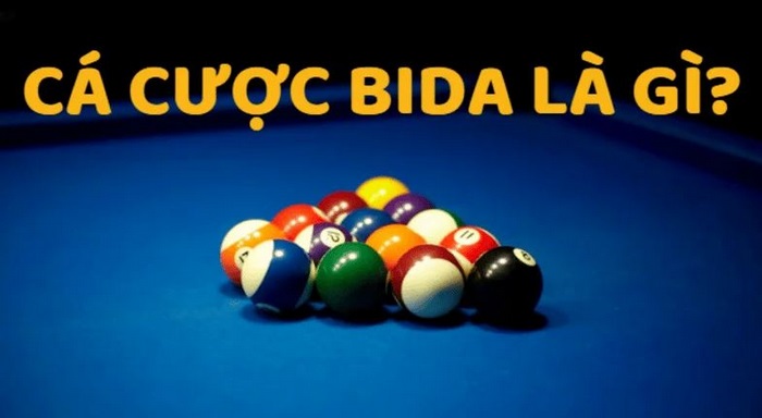 cá cược bida